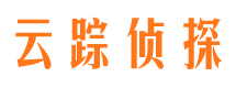 东风市调查公司